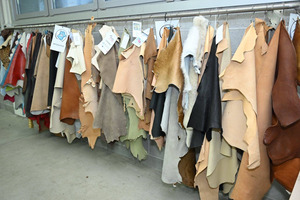 Монголын арьс, ширний үйлдвэрлэлийн холбоо Италийн арьс, ширний үйлдвэрлэгчдийн холбоотой хамтран ажиллана